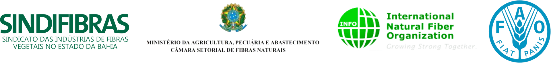 sindifibras barra de realização